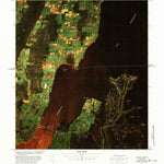 United States Geological Survey Alburg Springs Station, VT (1977, 25000-Scale) digital map