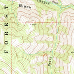 United States Geological Survey Aldrich Gulch, OR (1972, 24000-Scale) digital map