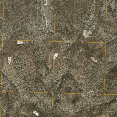 United States Geological Survey Alegres Mountain, NM (2010, 24000-Scale) digital map