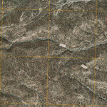 United States Geological Survey Alegres Mountain, NM (2010, 24000-Scale) digital map