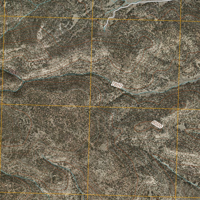 United States Geological Survey Alegres Mountain, NM (2010, 24000-Scale) digital map