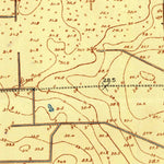 United States Geological Survey Algoa, TX (1929, 24000-Scale) digital map