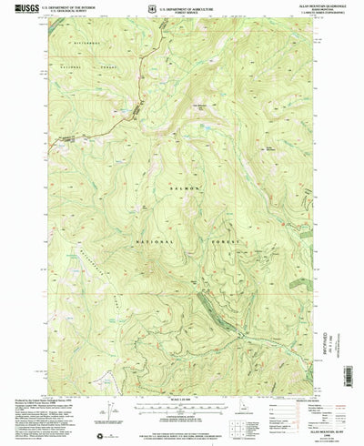 United States Geological Survey Allan Mountain, ID-MT (1998, 24000-Scale) digital map
