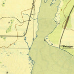 United States Geological Survey Allanton, FL (1945, 31680-Scale) digital map
