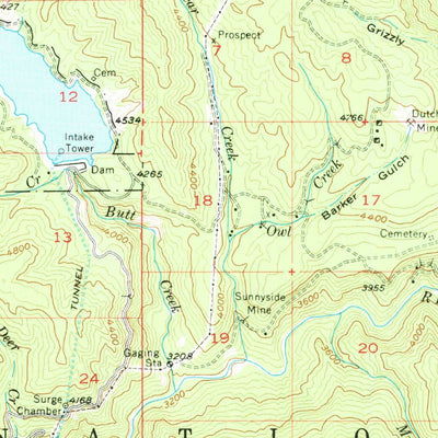 United States Geological Survey Almanor, CA (1955, 62500-Scale) digital map