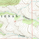 United States Geological Survey Almont, CO (1964, 24000-Scale) digital map