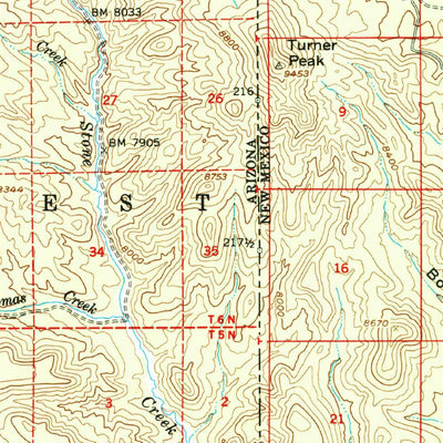 United States Geological Survey Alpine, AZ-NM (1958, 62500-Scale) digital map