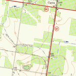 United States Geological Survey Alton, TX (1963, 24000-Scale) digital map