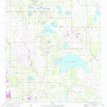 United States Geological Survey Alturas, FL (1955, 24000-Scale) digital map