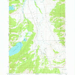 United States Geological Survey Alturas Lake, ID (1963, 24000-Scale) digital map