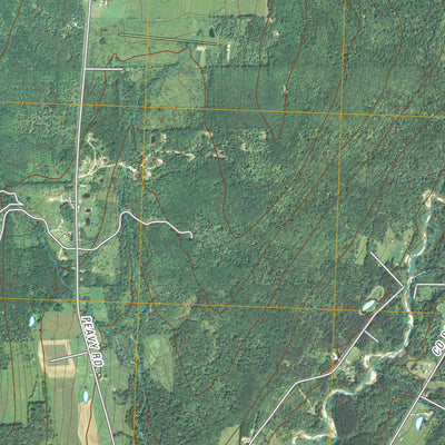 United States Geological Survey Angelica, NY (2010, 24000-Scale) digital map