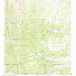 United States Geological Survey Angus, NM (1963, 24000-Scale) digital map