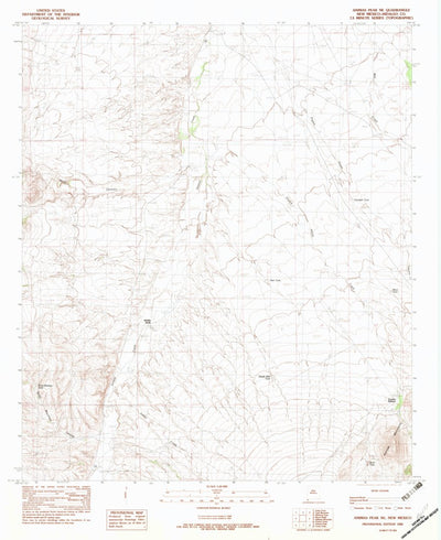 United States Geological Survey Animas Peak NE, NM (1982, 24000-Scale) digital map