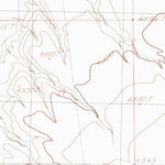United States Geological Survey Animas Peak NE, NM (1982, 24000-Scale) digital map