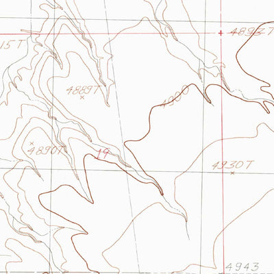 United States Geological Survey Animas Peak NE, NM (1982, 24000-Scale) digital map