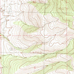 United States Geological Survey Animas Peak, NM (1982, 24000-Scale) digital map
