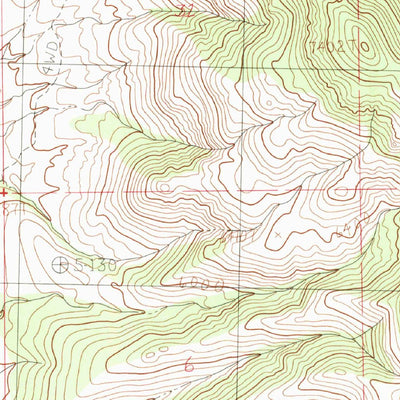 United States Geological Survey Animas Peak, NM (1982, 24000-Scale) digital map