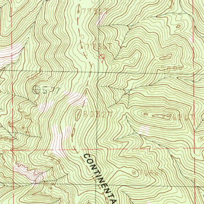 United States Geological Survey Animas Peak, NM (1982, 24000-Scale) digital map