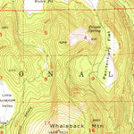 United States Geological Survey Antelope Mountain, CA (1956, 62500-Scale) digital map