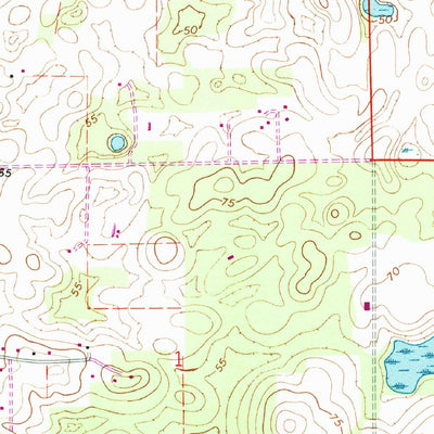 United States Geological Survey Anthony, FL (1967, 24000-Scale) digital map