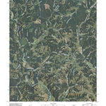 United States Geological Survey Appleton, TN (2010, 24000-Scale) digital map