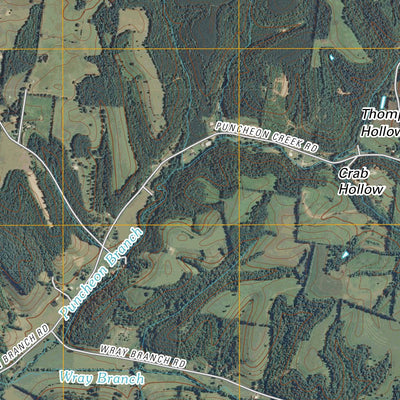United States Geological Survey Appleton, TN (2010, 24000-Scale) digital map