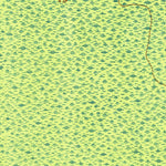 United States Geological Survey Arapahoe, NC (1951, 24000-Scale) digital map