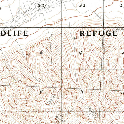 United States Geological Survey Arctic D-1, AK (1983, 63360-Scale) digital map