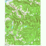 United States Geological Survey Arena, NY (1945, 24000-Scale) digital map