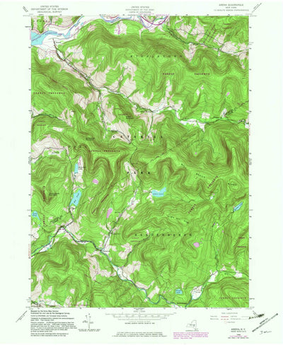 United States Geological Survey Arena, NY (1945, 24000-Scale) digital map