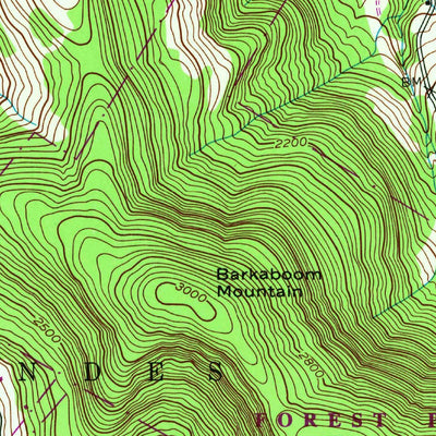 United States Geological Survey Arena, NY (1945, 24000-Scale) digital map
