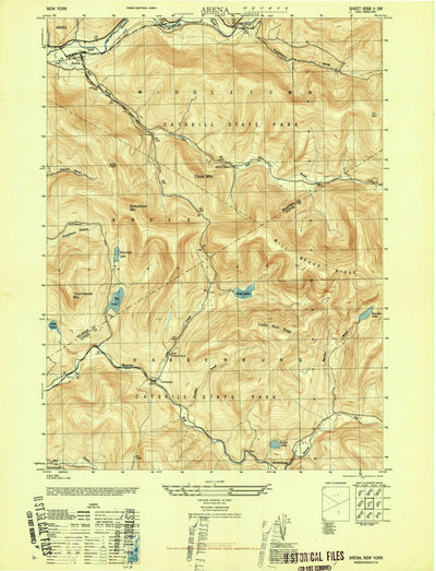 United States Geological Survey Arena, NY (1946, 24000-Scale) digital map