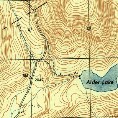 United States Geological Survey Arena, NY (1946, 24000-Scale) digital map