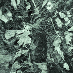 United States Geological Survey Arkadelphia, AL (1975, 24000-Scale) digital map