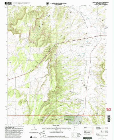 United States Geological Survey Armstrong Canyon, NM (1999, 24000-Scale) digital map