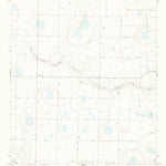 United States Geological Survey Arney, TX (1966, 24000-Scale) digital map