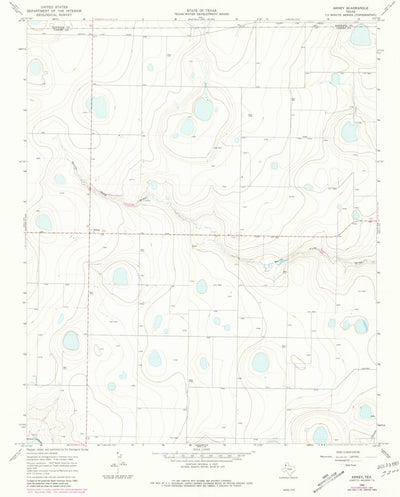 United States Geological Survey Arney, TX (1966, 24000-Scale) digital map