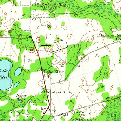 United States Geological Survey Arran, FL (1940, 62500-Scale) digital map