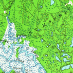 United States Geological Survey Arran, FL (1940, 62500-Scale) digital map