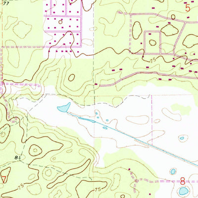United States Geological Survey Arredondo, FL (1966, 24000-Scale) digital map