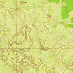 United States Geological Survey Arrosa Ranch, NM (1961, 24000-Scale) digital map