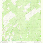 United States Geological Survey Arroyo Miguel, TX (1980, 24000-Scale) digital map