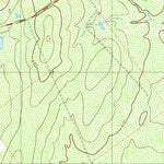 United States Geological Survey Arroyo Miguel, TX (1980, 24000-Scale) digital map