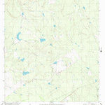 United States Geological Survey Arroyo Salado East, TX (1980, 24000-Scale) digital map