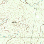 United States Geological Survey Arroyo Salado East, TX (1980, 24000-Scale) digital map