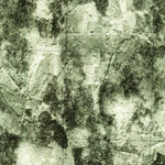 United States Geological Survey Ashfield, MA (1975, 25000-Scale) digital map
