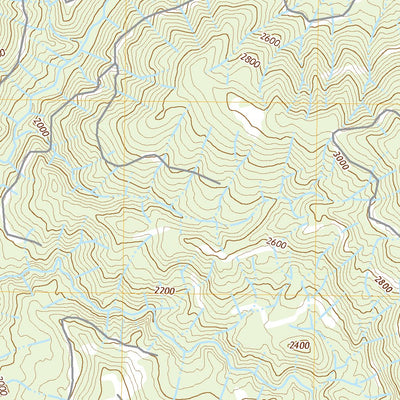 United States Geological Survey Ashford, WA (2020, 24000-Scale) digital map