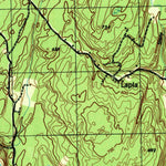 United States Geological Survey Ashokan, NY (1943, 31680-Scale) digital map