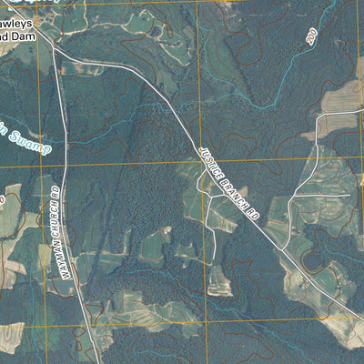 United States Geological Survey Aurelian Springs, NC (2010, 24000-Scale) digital map