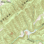 United States Geological Survey Austinville, VA (1965, 24000-Scale) digital map